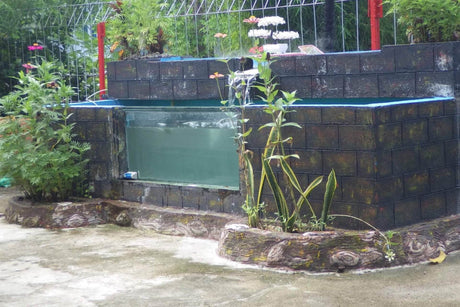 How a Pond Glass Window Transforms Your Outdoor Space