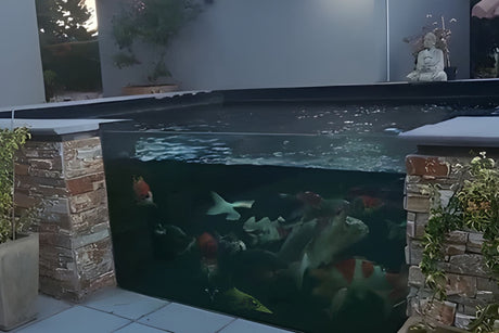 how thick should pond glass be