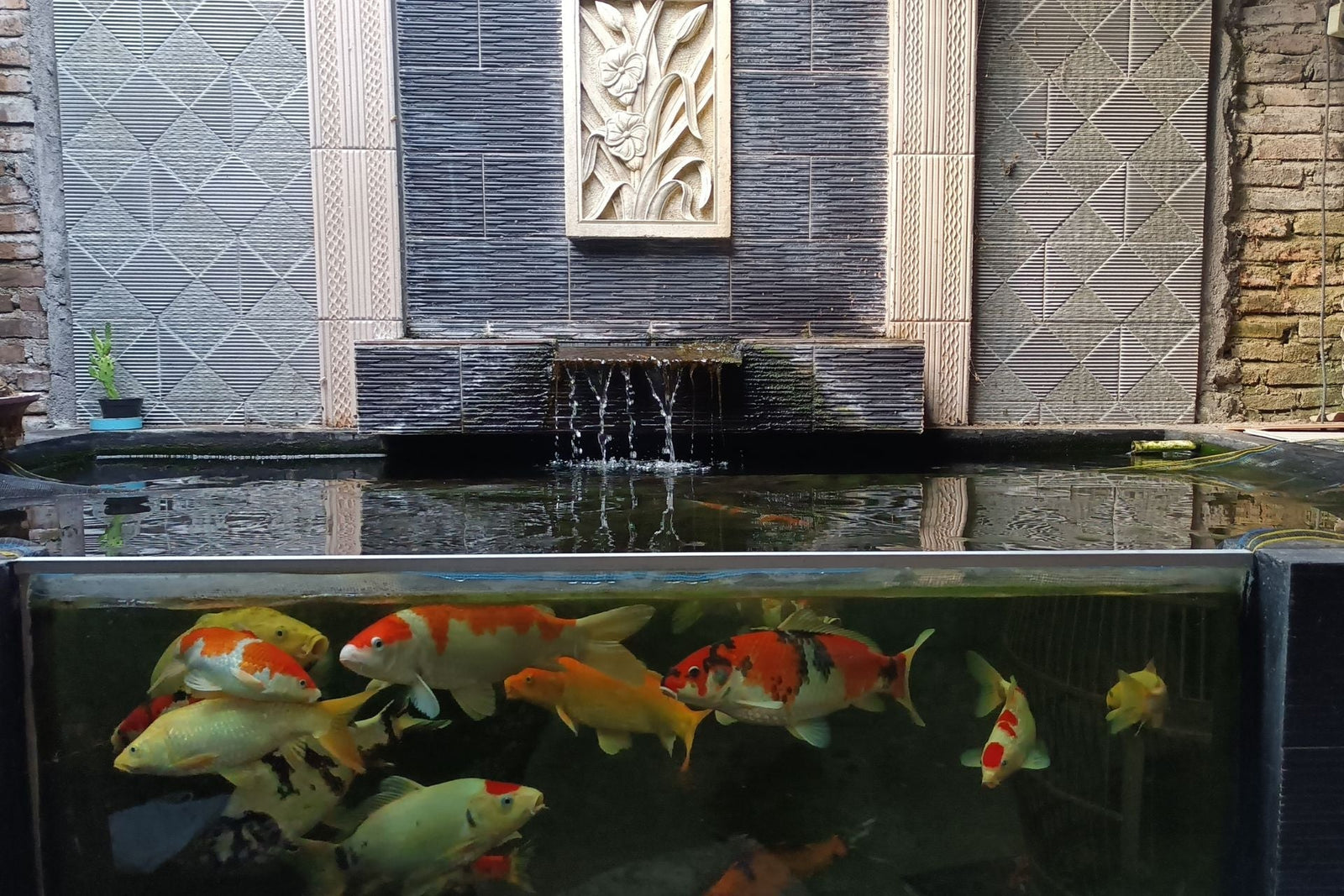 koi pond glass window