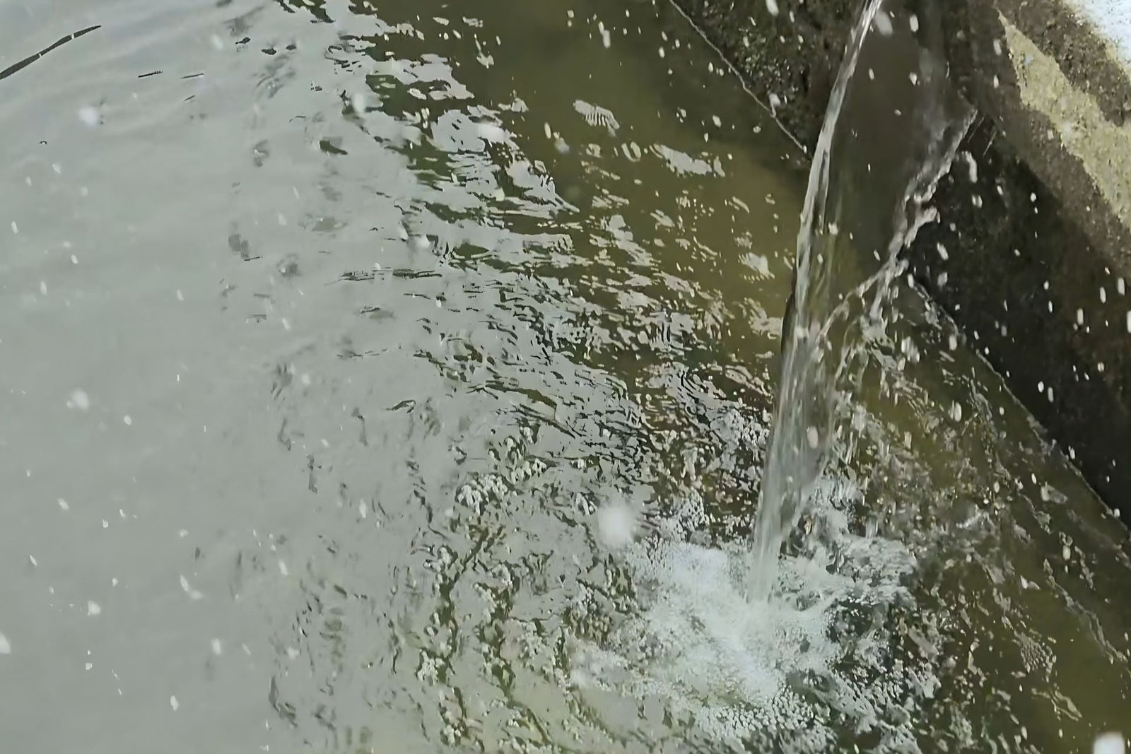 pond window leaking